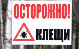 Первые случаи укусов клещей зафиксированы в Волгоградской области